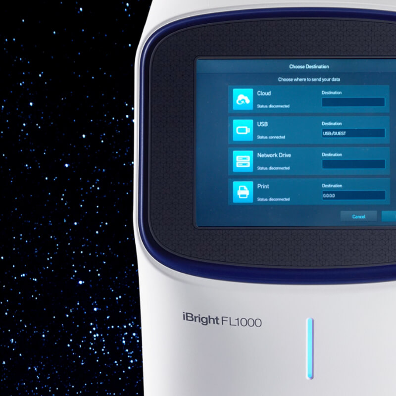 Thumbnail Image 21, picture link to iBright Imaging Systems page
